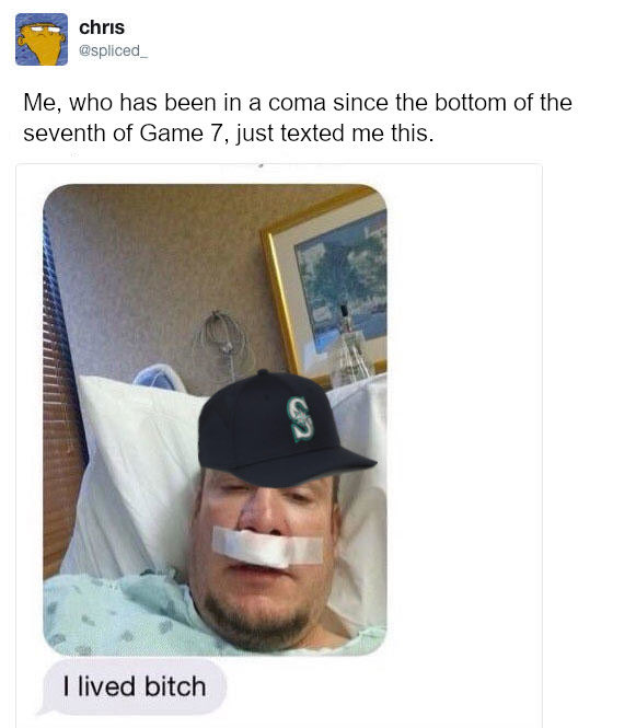 Mokumoku tweet media