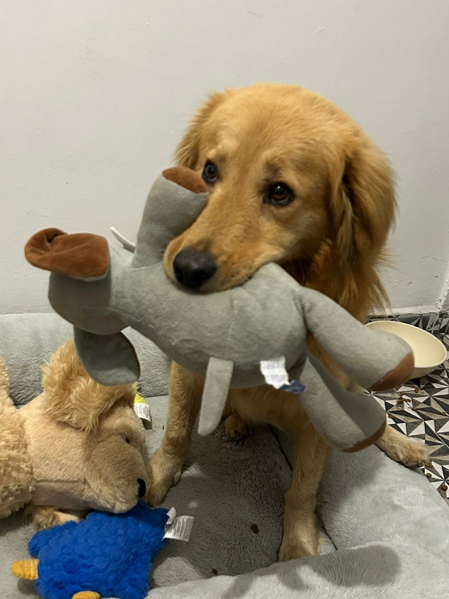 Gina..🌷 tweet media