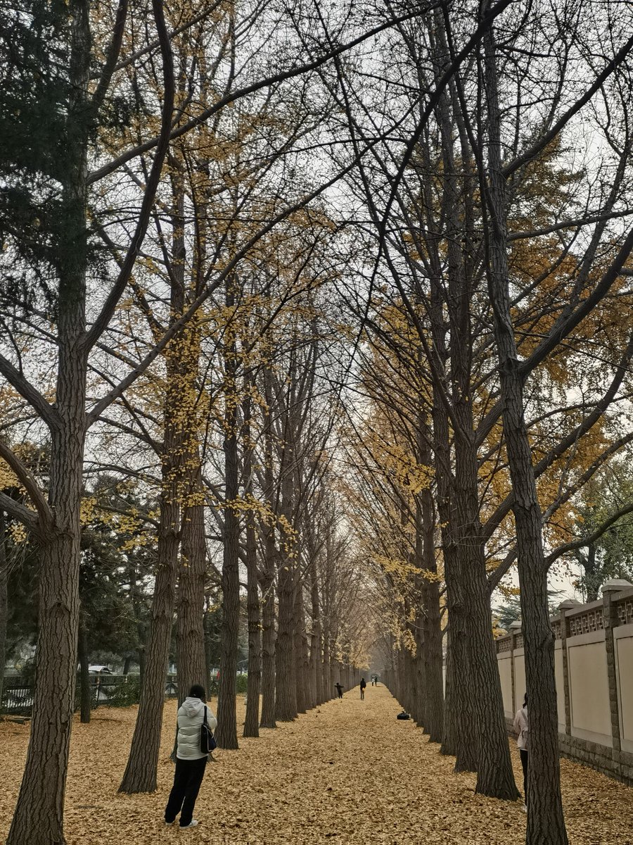 Frederic tweet media