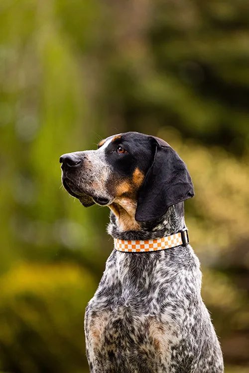 John Sartori tweet media