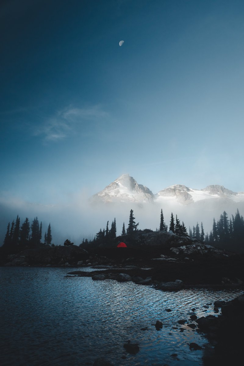 Alex Mack tweet media