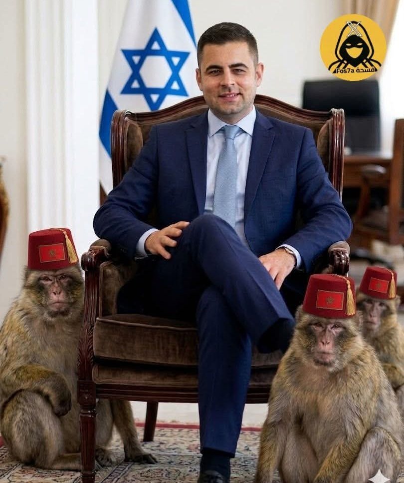 pancho darty tweet media