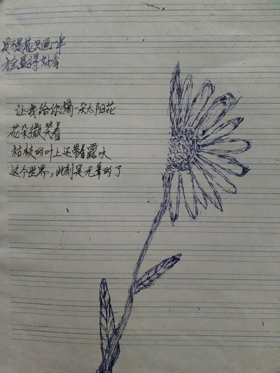 Tomek Krzyżewskí tweet media