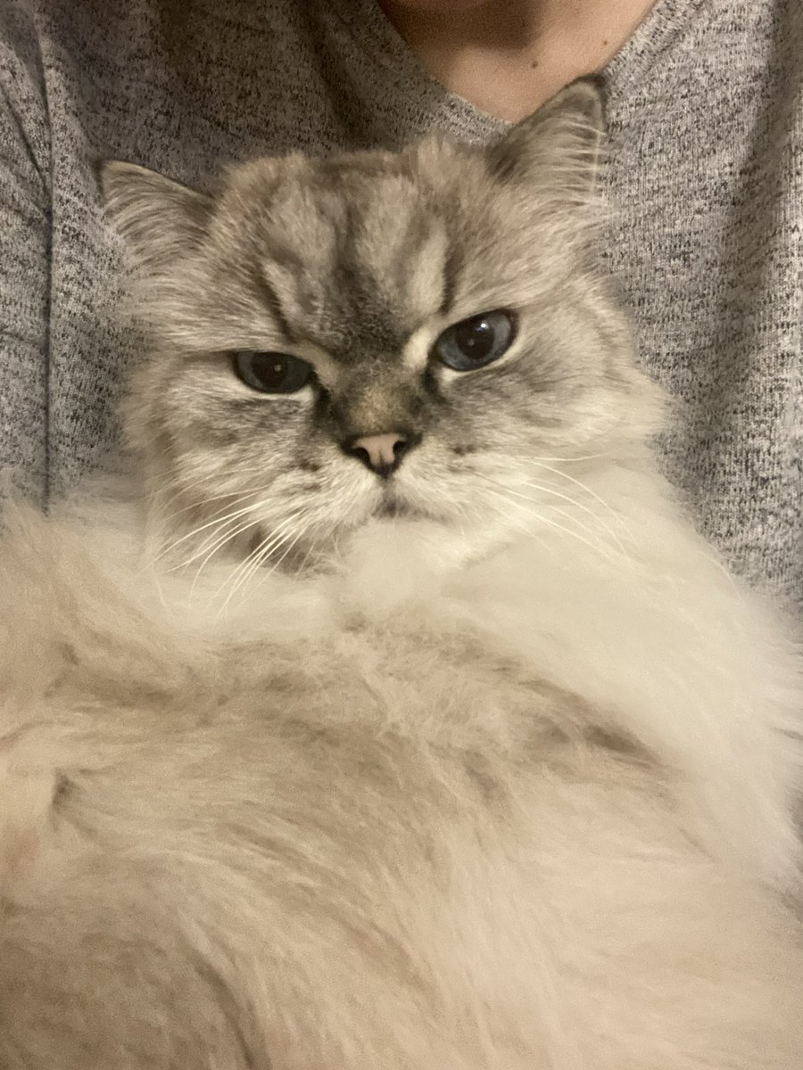 Mimo Kaytambıyıg ve Kardeşleri tweet media