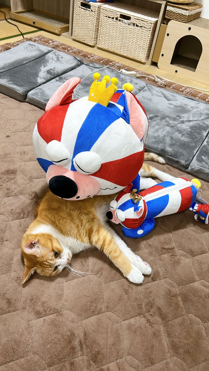 あいのすけちゃんねる tweet media