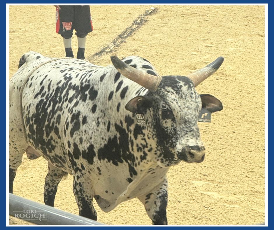 Lori Rogich tweet media