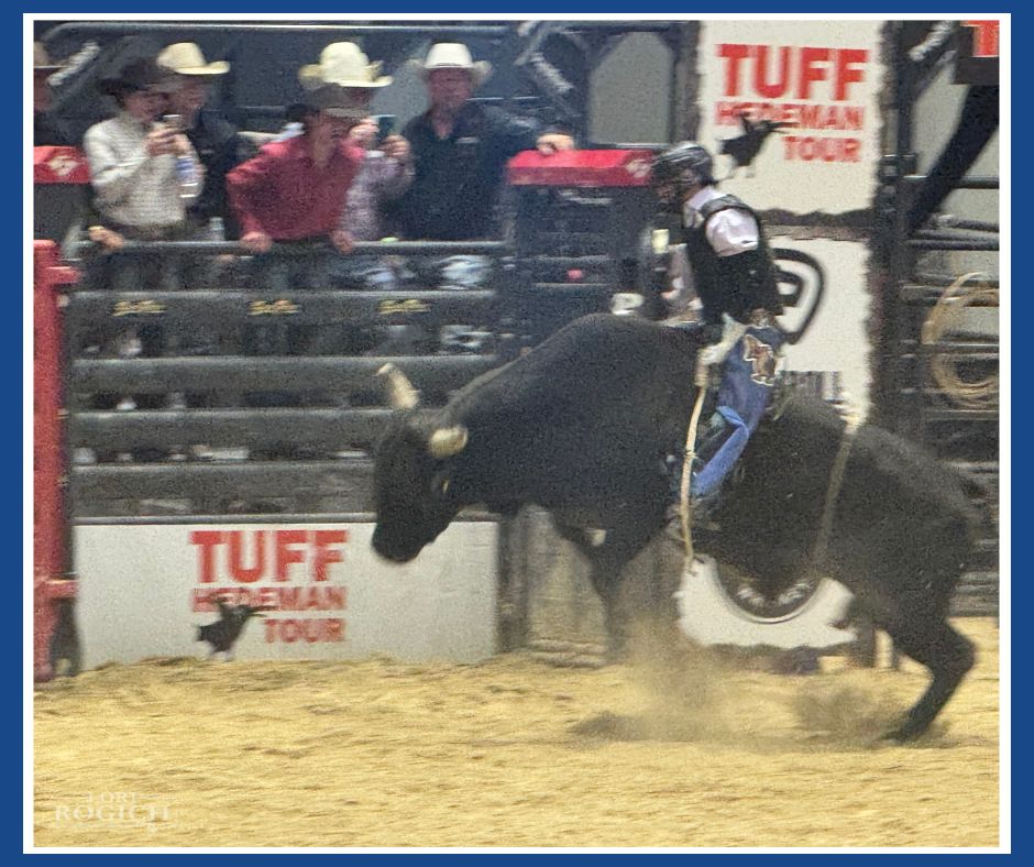 Lori Rogich tweet media