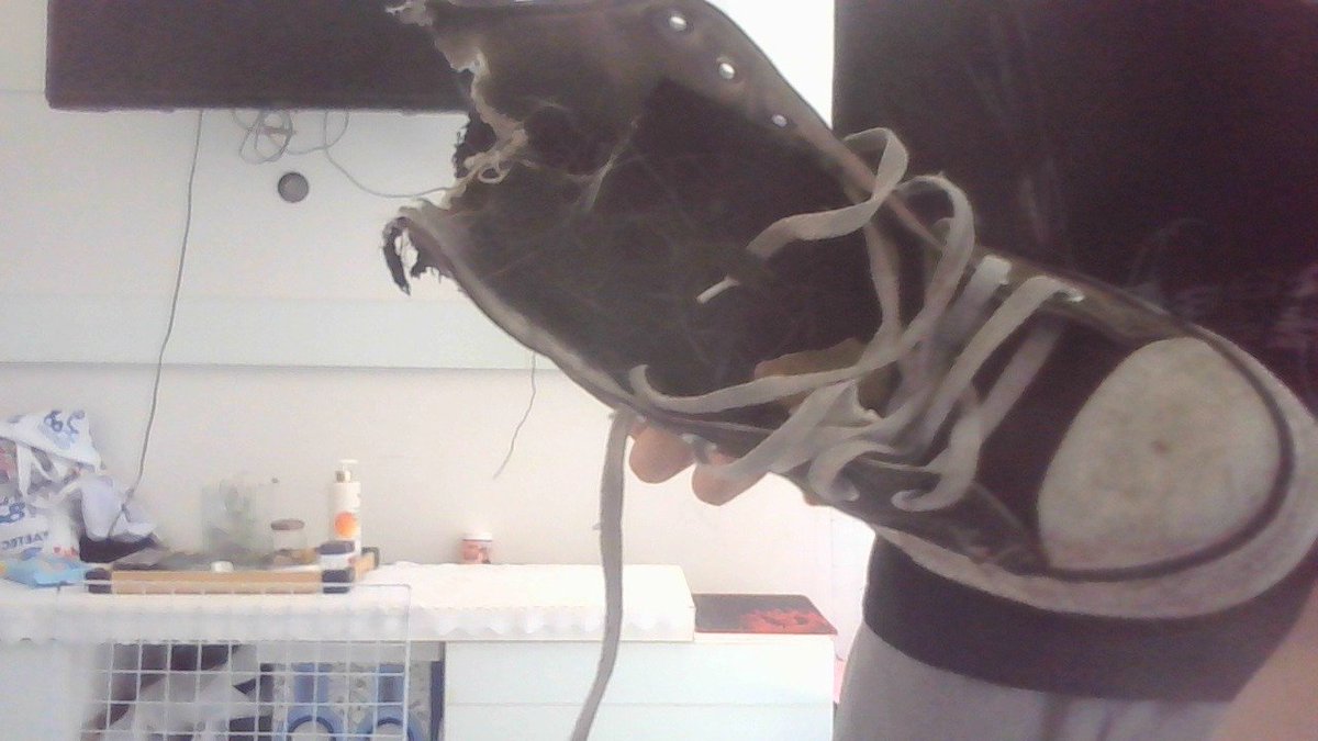 gatinhos #yzkha00 tweet media