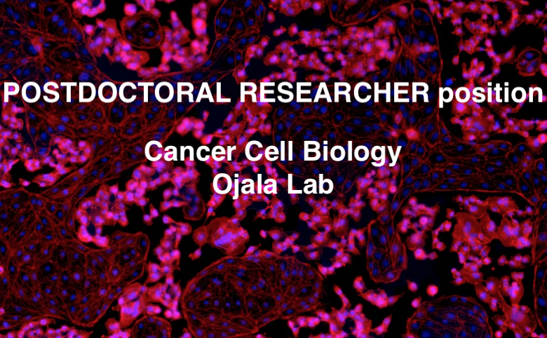 28th Int'l Workshop on KSHV & Related Agents tweet media