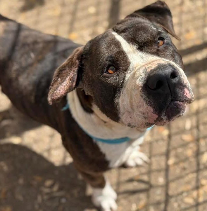 Aurora ⸆⸉ misses Liam ❯❯❯❯ tweet media