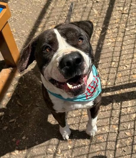 Aurora ⸆⸉ misses Liam ❯❯❯❯ tweet media