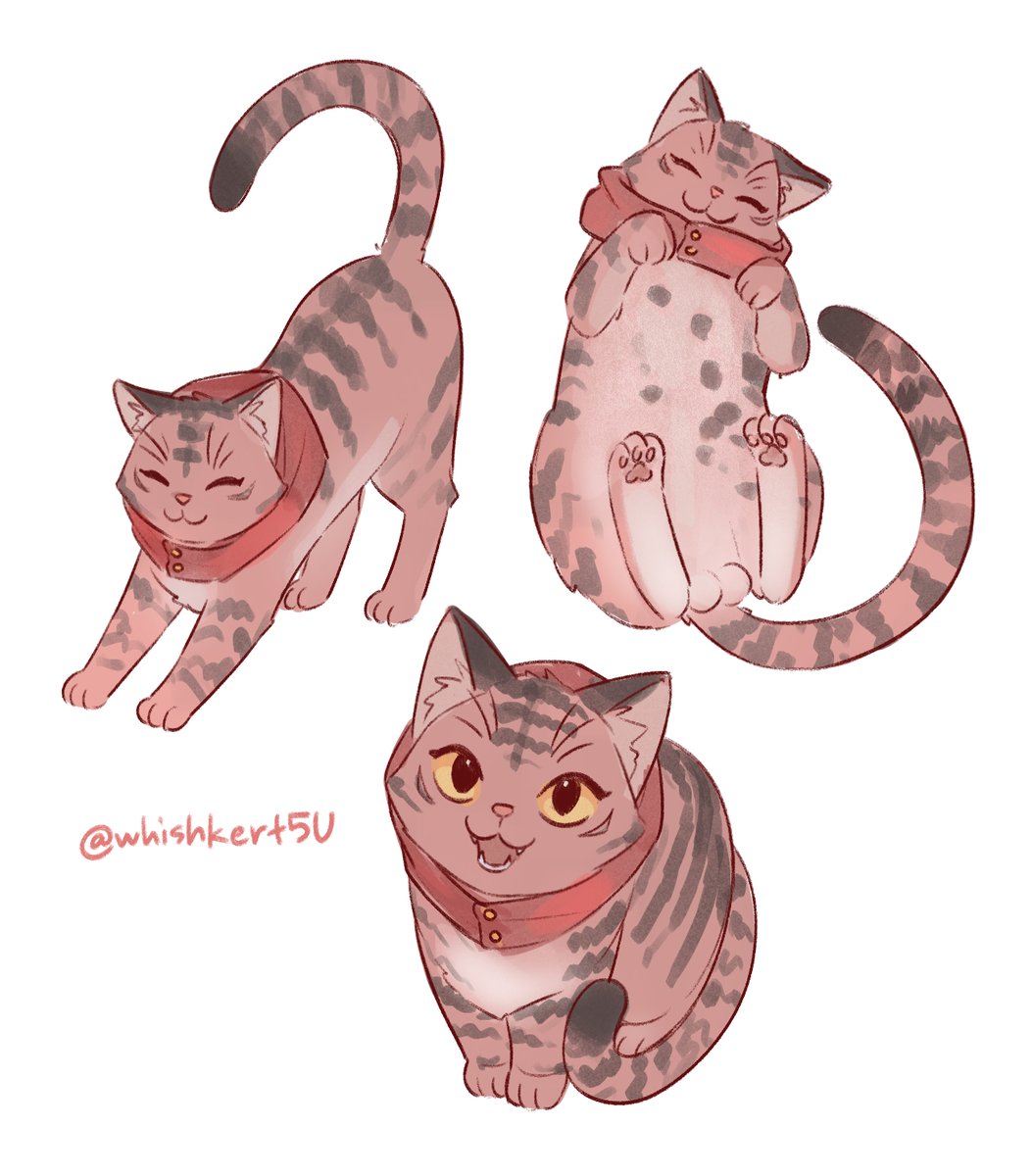 Whish🐳✨ tweet media