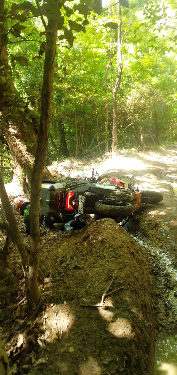 じん@なにわのオヤジ🏍人馬一体✨ tweet media