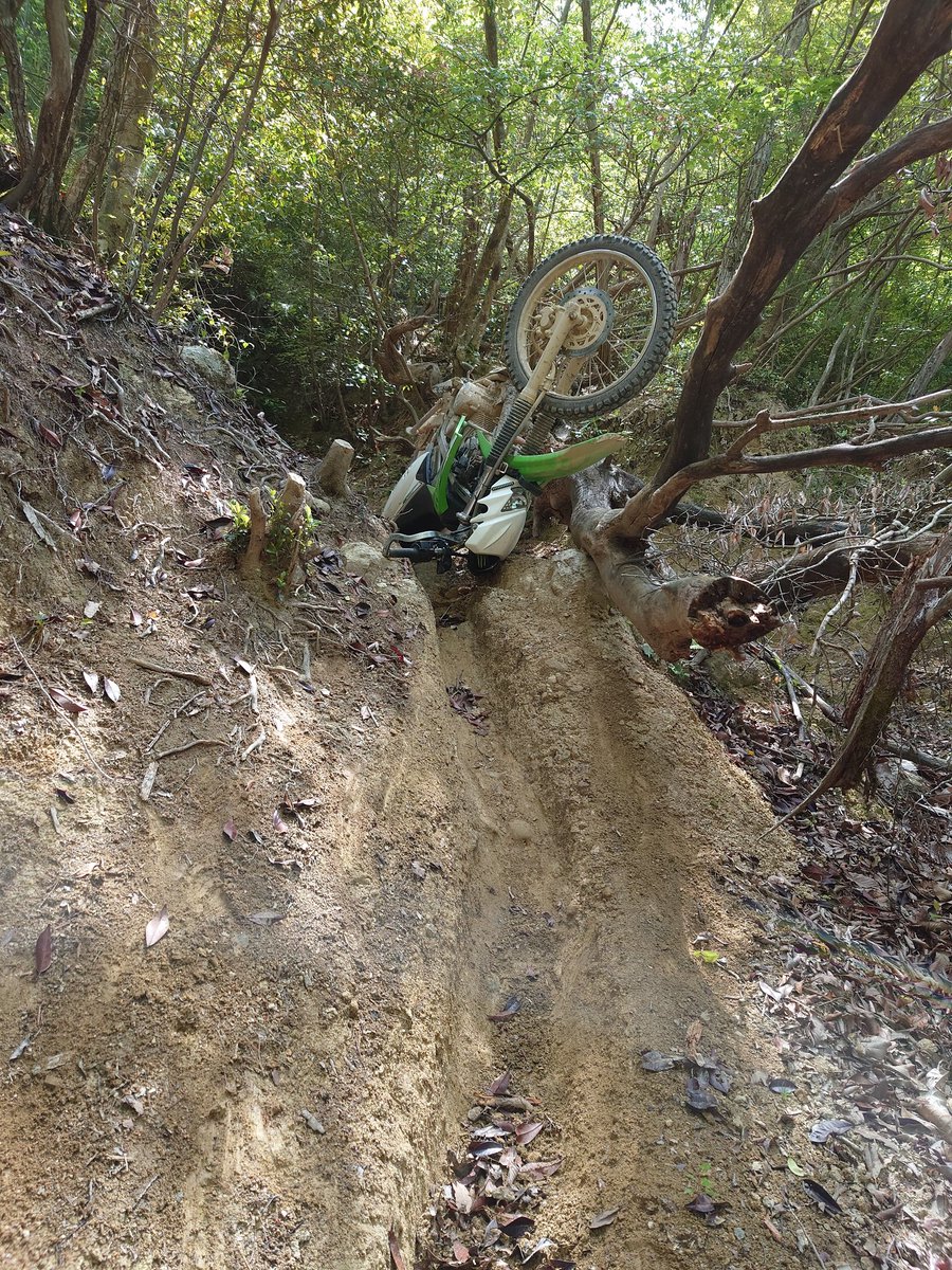 じん@なにわのオヤジ🏍人馬一体✨ tweet media