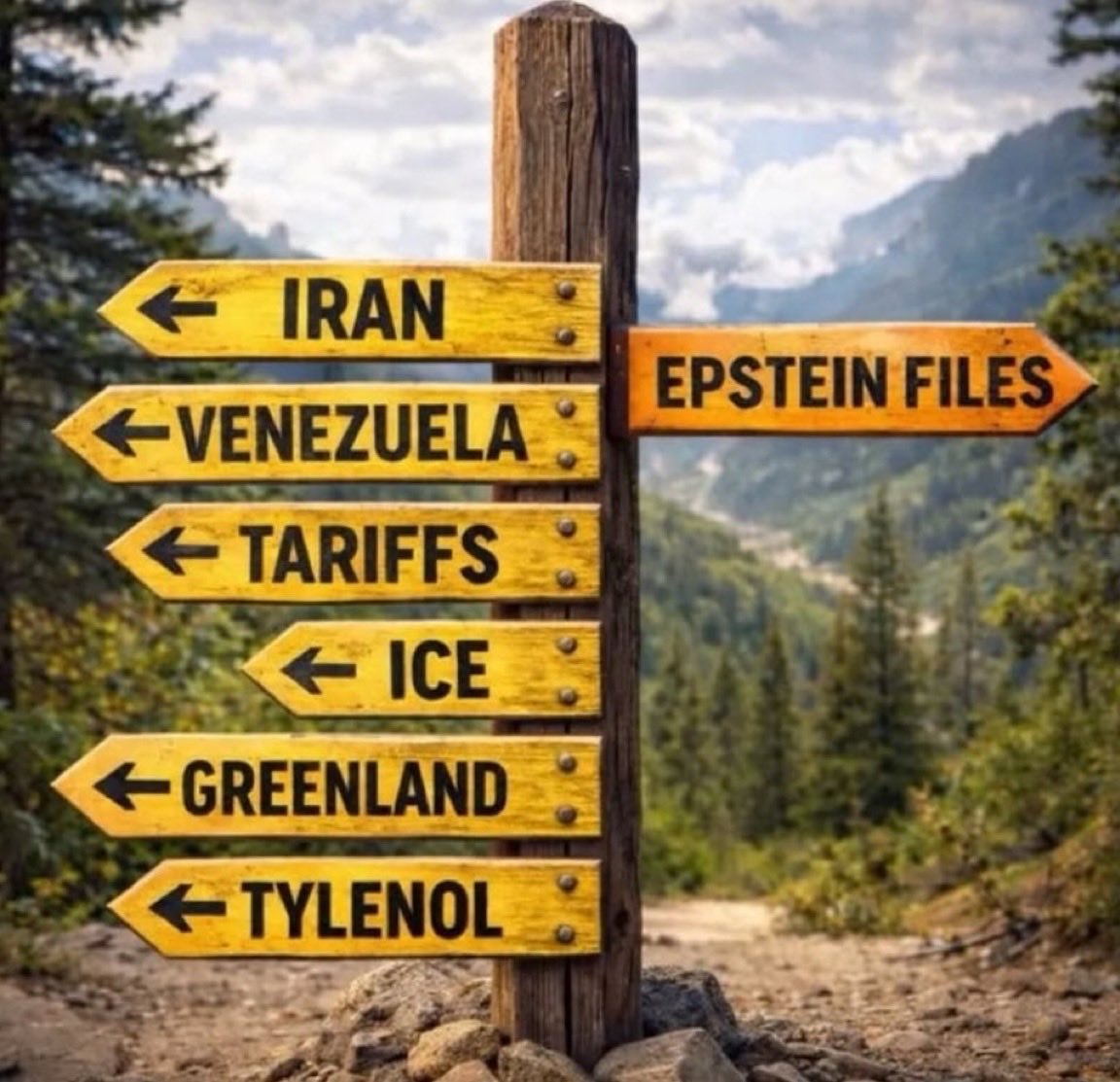 Don’t be a MAGA victim. tweet media