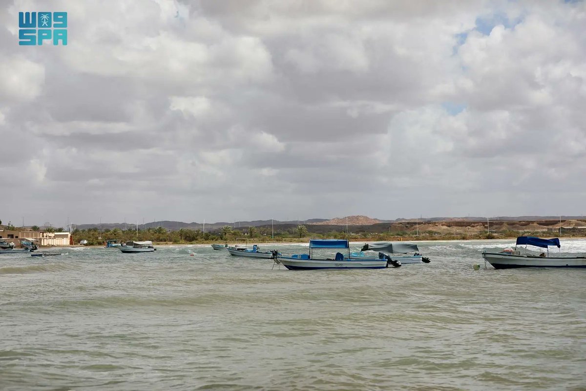 واس جودة الحياة tweet media