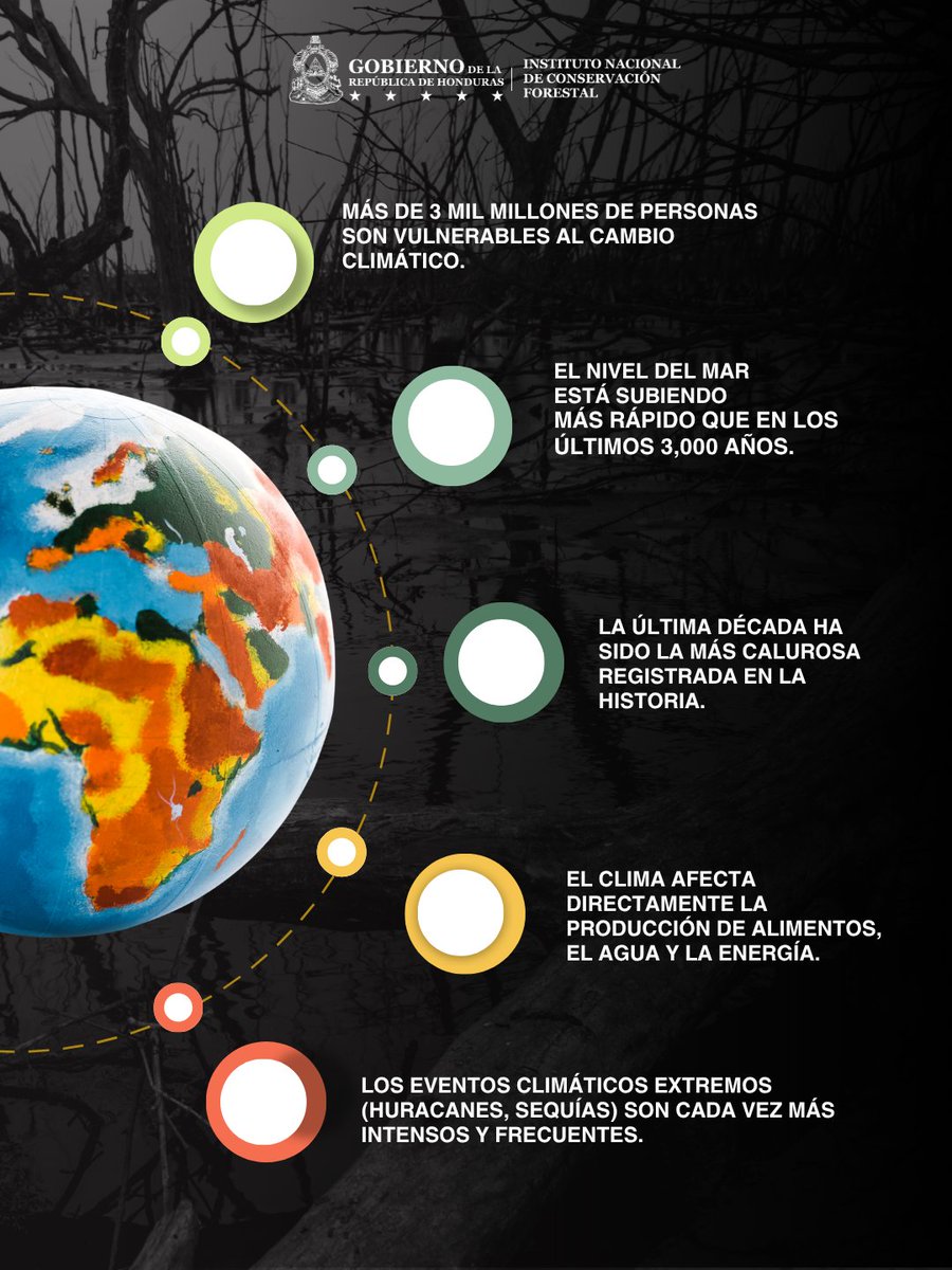 Instituto Nacional de Conservación Forestal tweet media