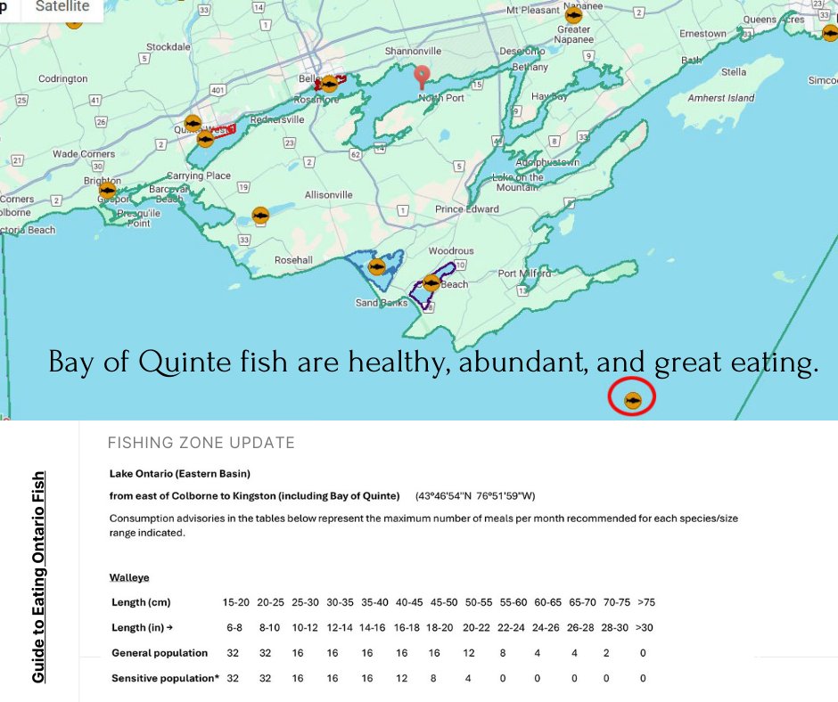 Bay of Quinte RAP tweet media