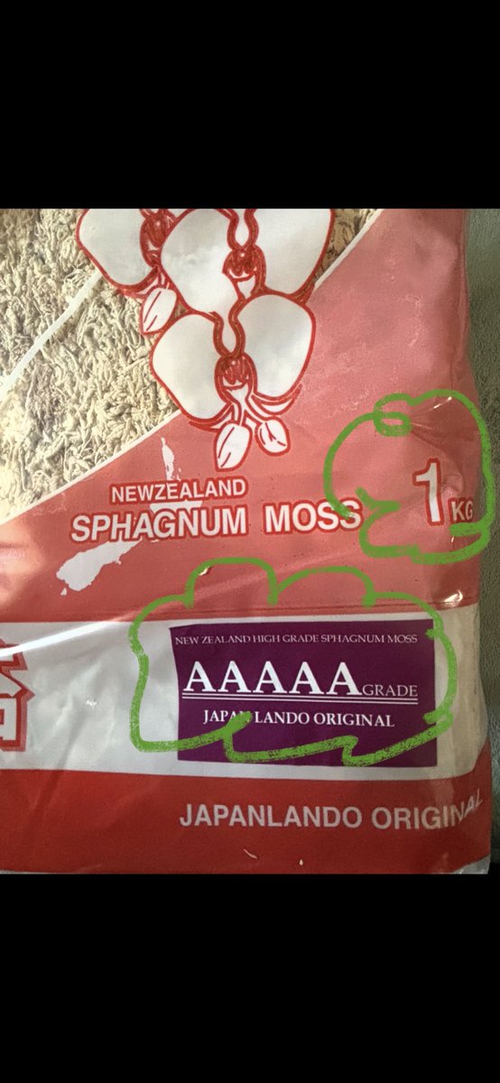 胞子を撒く者　すみす tweet media