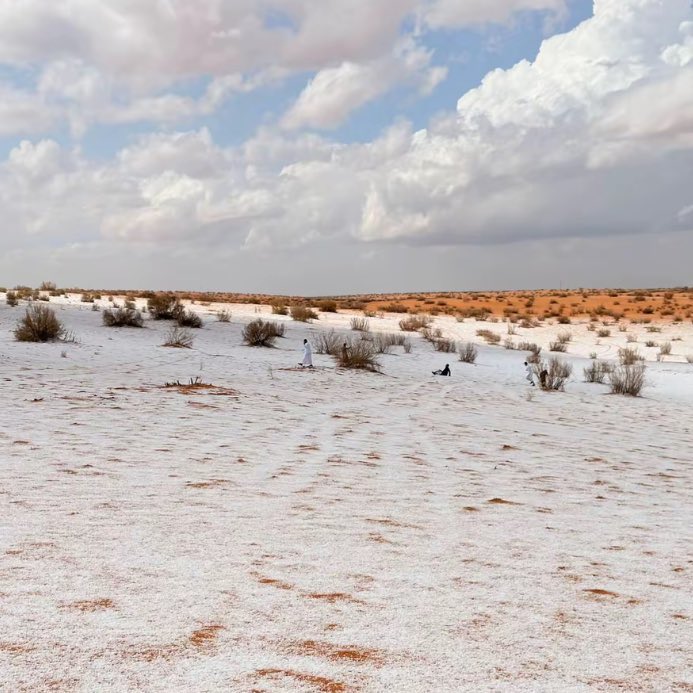 صقر -🇸🇦 tweet media