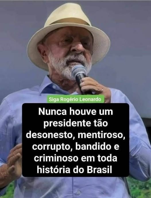 Cecília De Oliveira tweet media