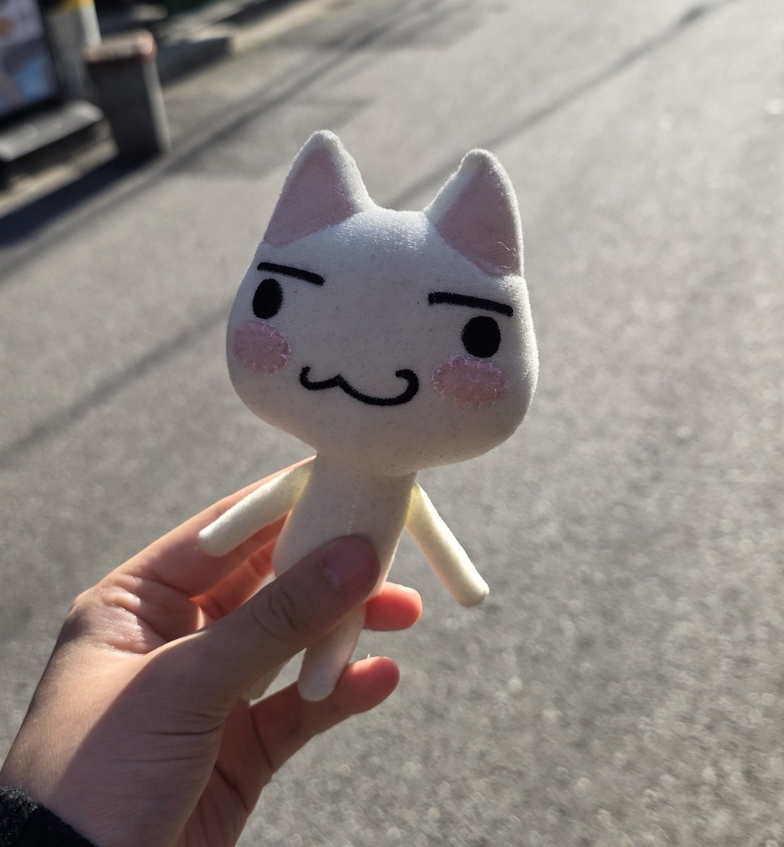 잔치국수 tweet media