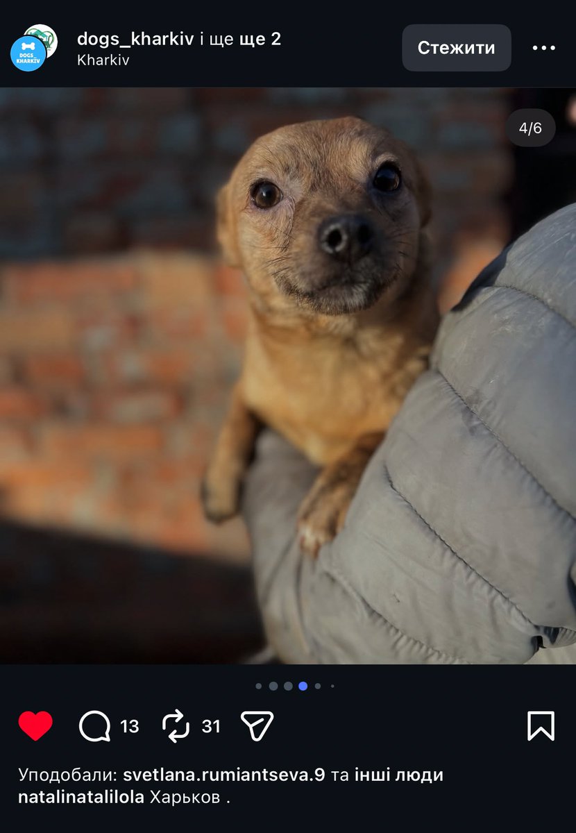 лі?да tweet media