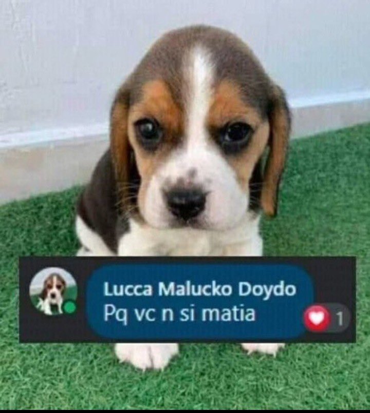 🍓lore cartomante | AGENDA ABERTA tweet media