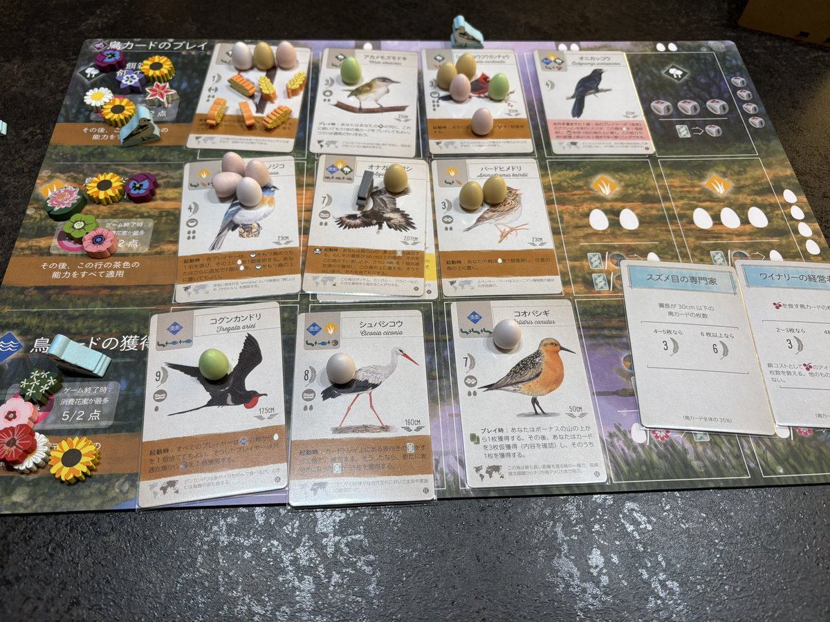 アヤ🦭 tweet media