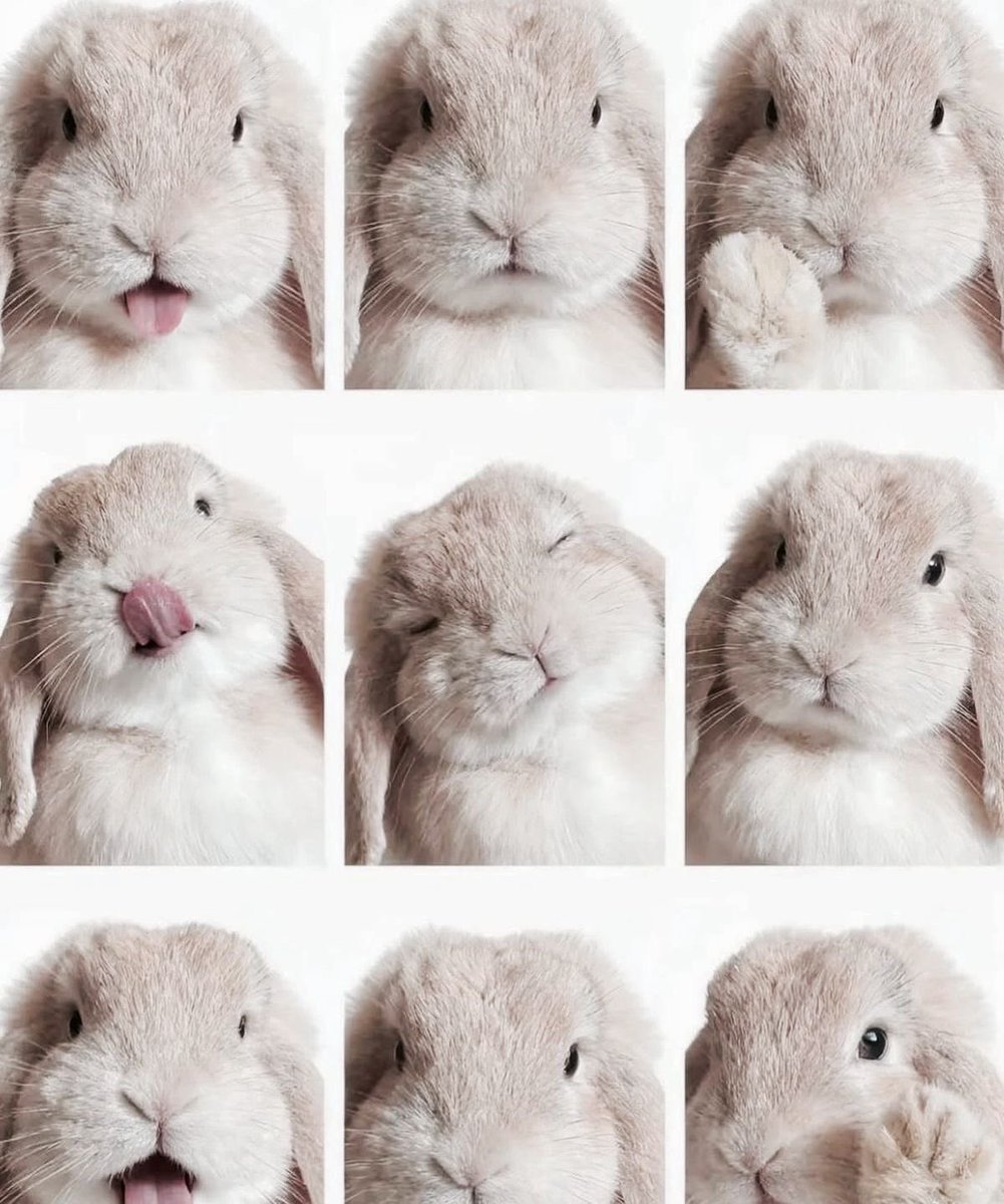 47 ✿･ tweet media