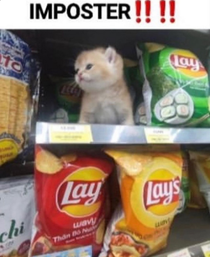 i drink soup tweet media