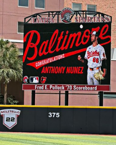 Tampa Baseball tweet media