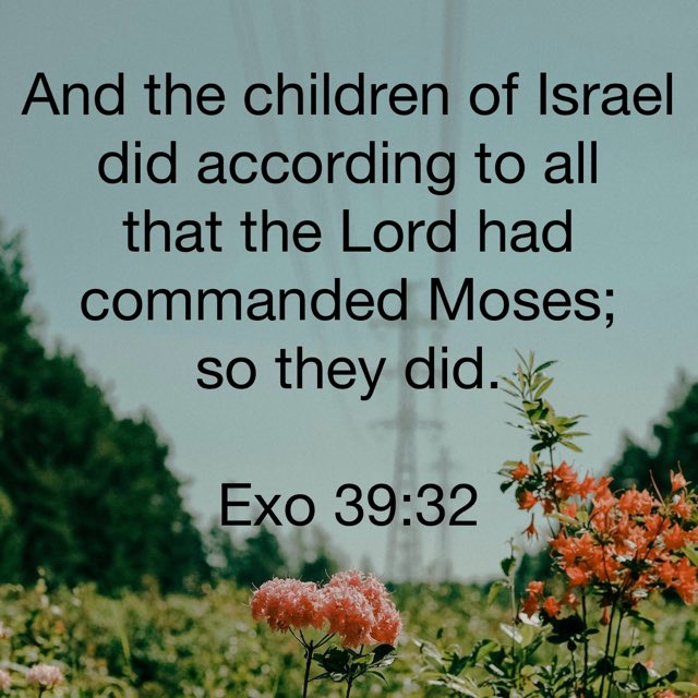 Jim Suttle tweet media