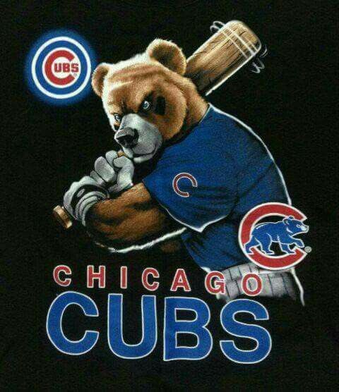 MamaBear ❤️🐻🏈 tweet media