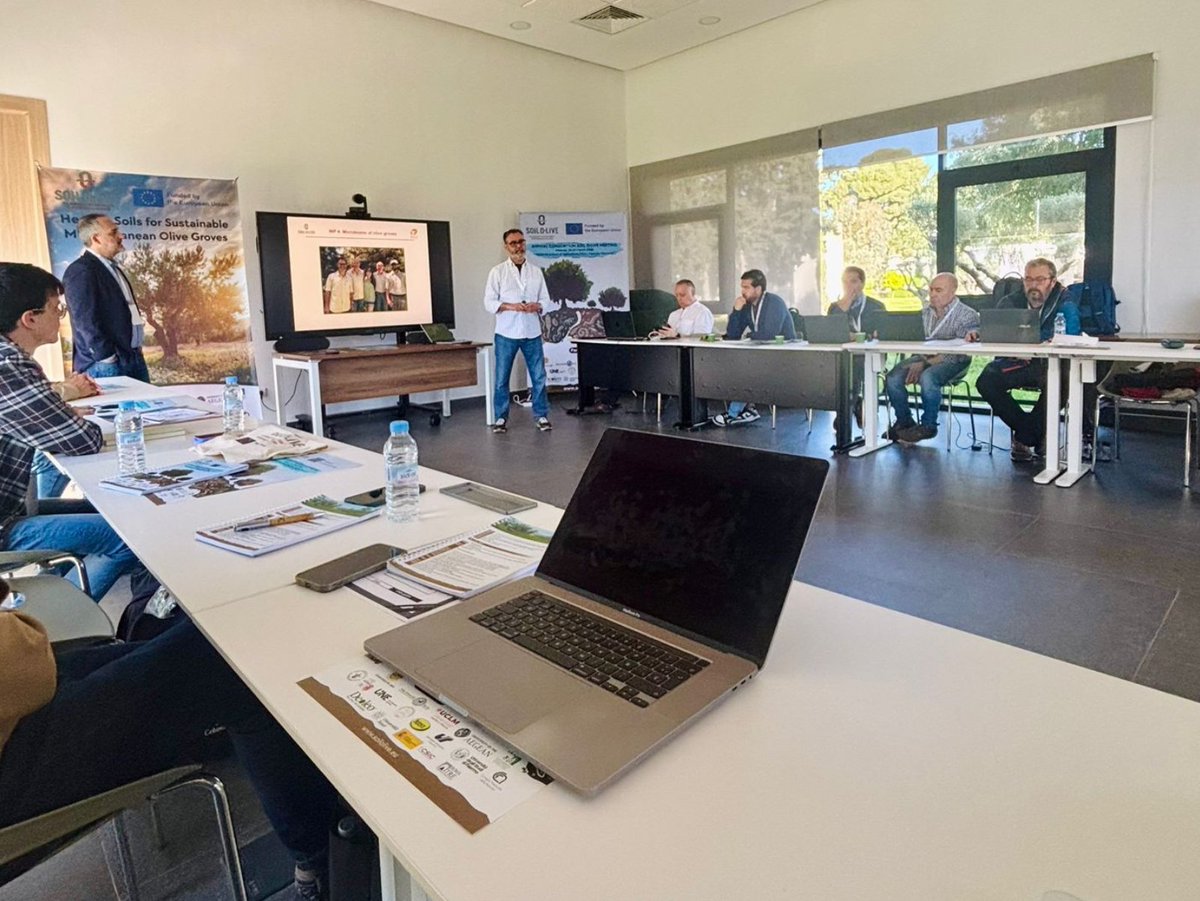 SoilOlive's tweet photo. Today, the Soil O-Live Consortium’s Annual Meeting focused on Work Packages WP4, WP5 and WP6, featuring high-level presentations that set the direction for our research into olive grove soil health. 🌳🔬

#SoilOlive #UJA #EuropeanProject https://t.co/F5Q9RE9Rof