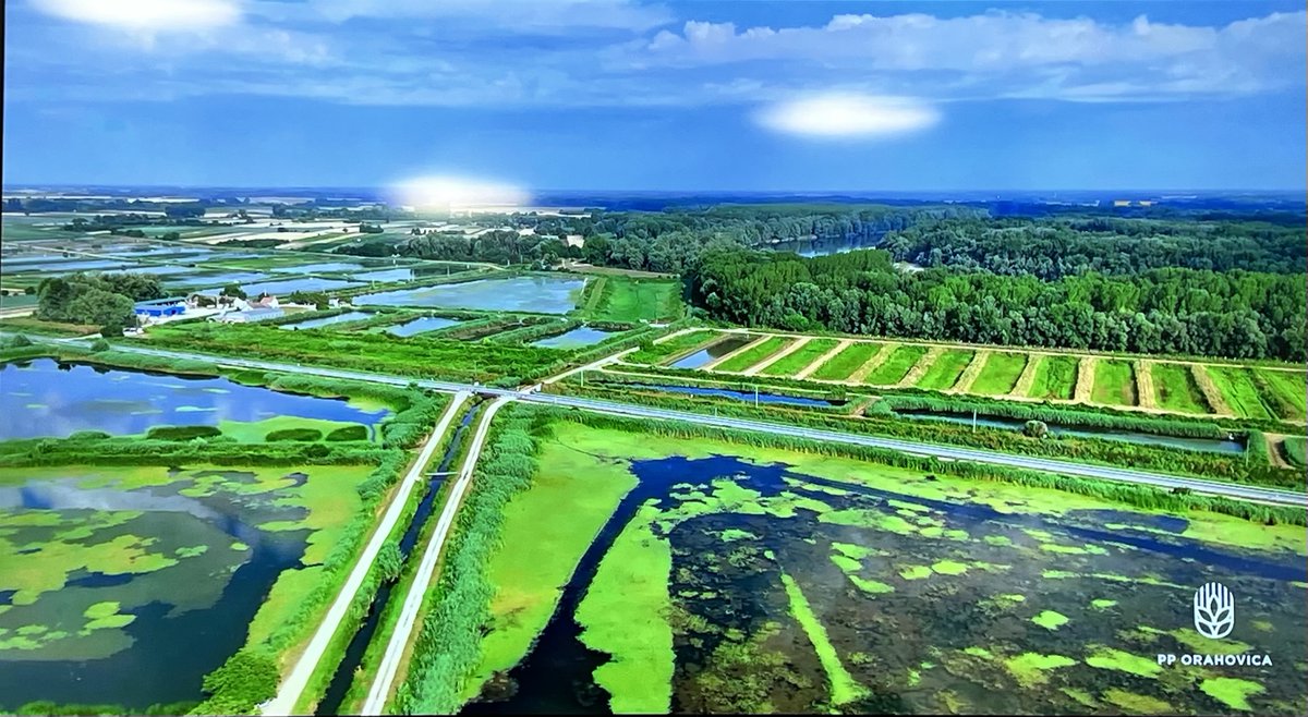 EU Maritime & Fish tweet media