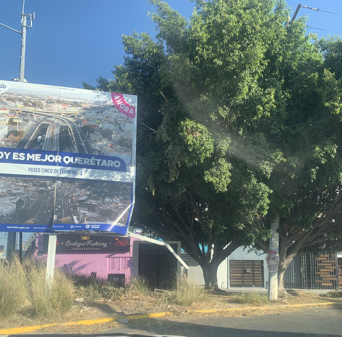 Teresa Roldán Soria 🦋🌸🌳🐝🕸🦉🦇🐈🦝🦔🐿🌿🐾🍁🌈 tweet media