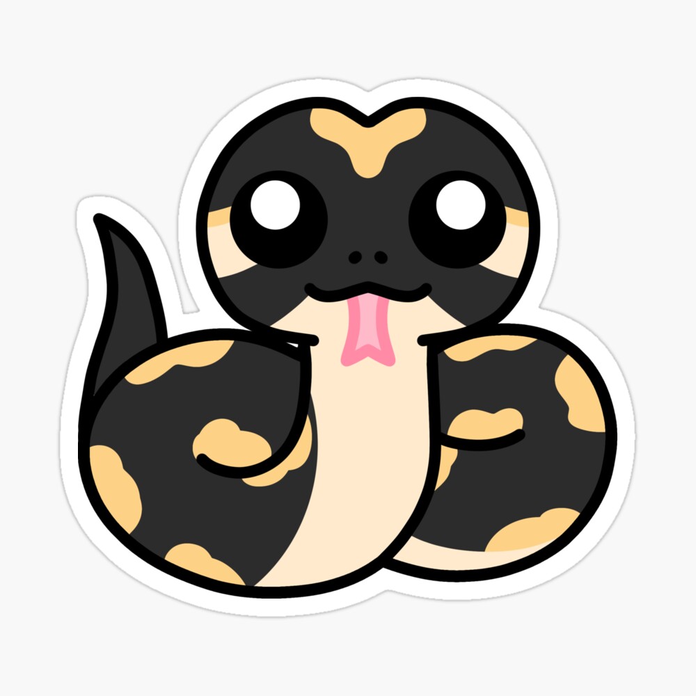 ScarletLilyShop's tweet image. Get a ball python sticker.
Support me at Redbubble #RBandME: scarletlilyshop.redbubble.com
redbubble.com/i/sticker/Ball…
#redbubble #ballpythons #pythonstickers #snake #snakestickers #cuteanimals