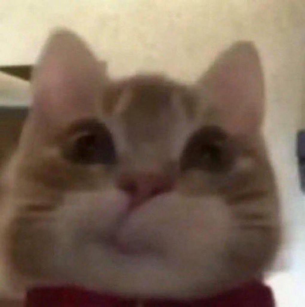 sirenix: requiem tweet media