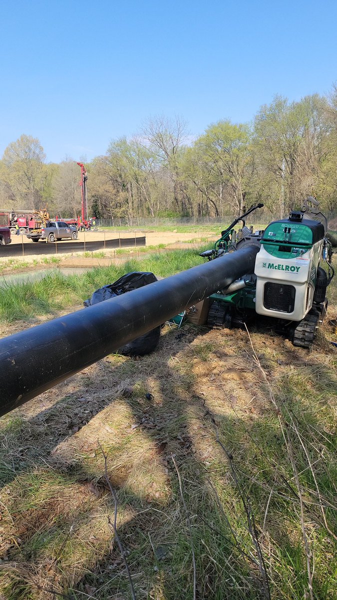 LosTaGaIn 🦠 tweet media