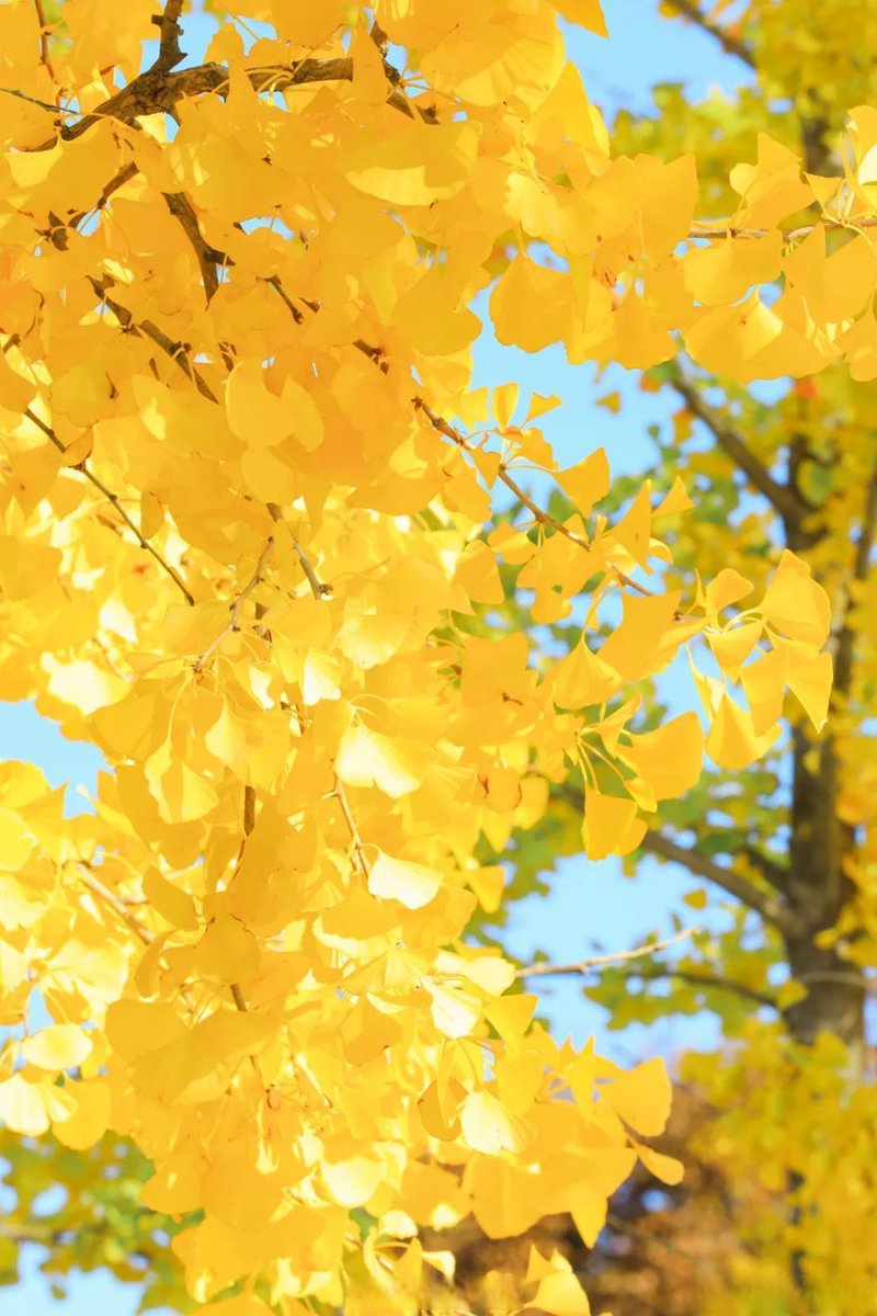 Stanislav tweet media