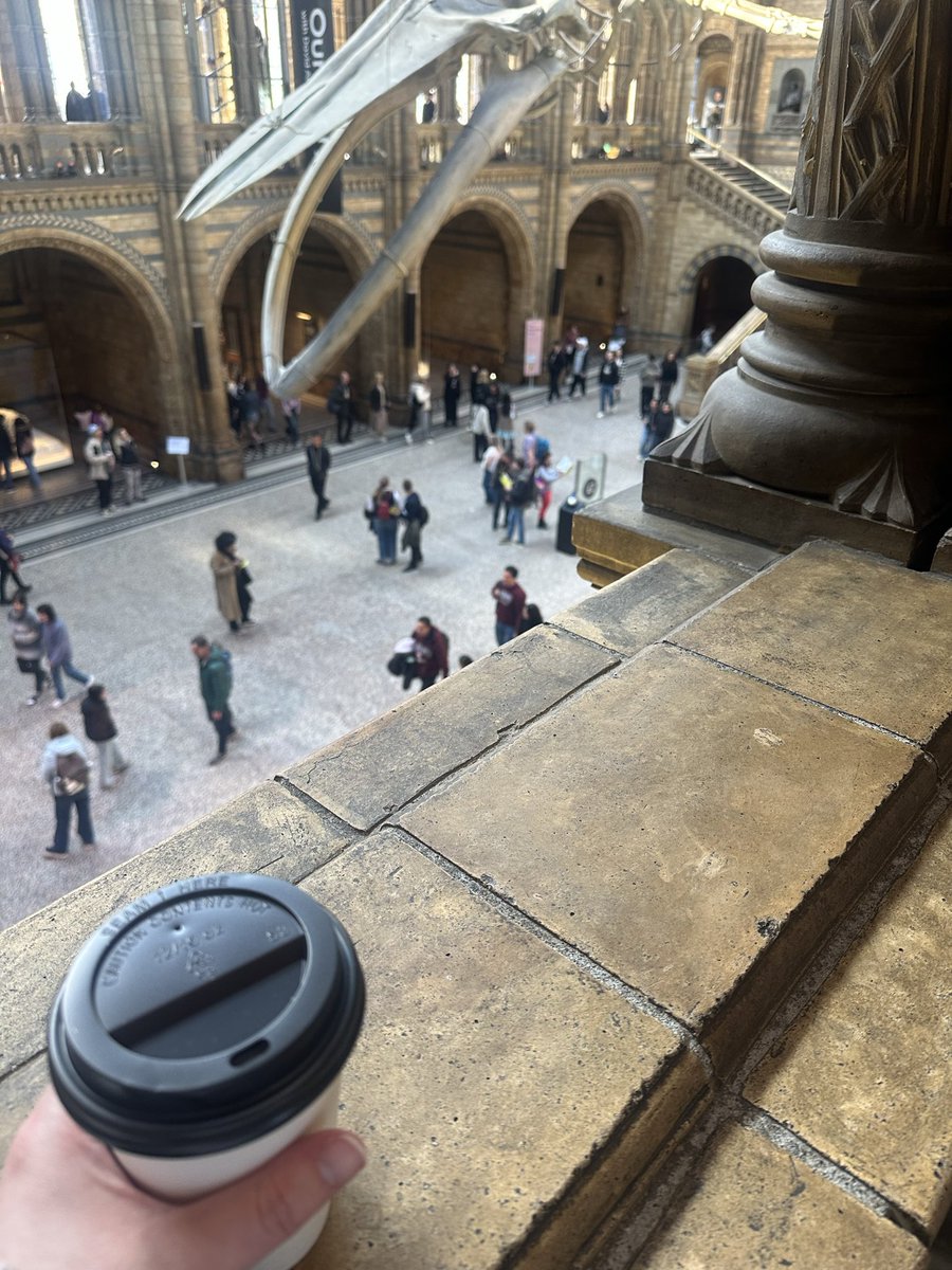 ang 🗡️ tweet media