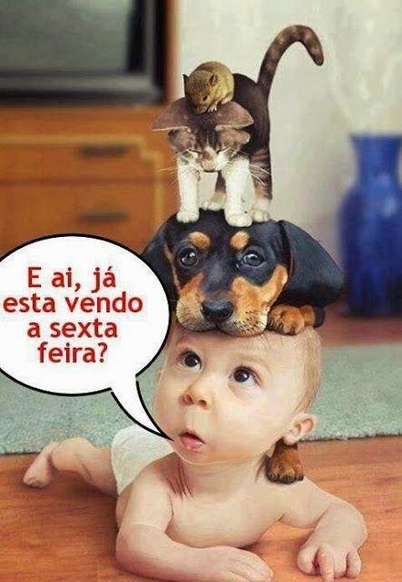 asemananews's tweet image. E aí… já está vendo a sexta-feira?
Porque a gente já tá aqui na expectativa!
Vem, sexta-feira…estamos te esperando com alegria, gratidão e aquele sorriso no rosto!

-“O choro pode durar uma noite, mas a alegria vem pela manhã". (Sl 30:5)

#SextaFeiraVemAí #QuaseSexta #BomHumor