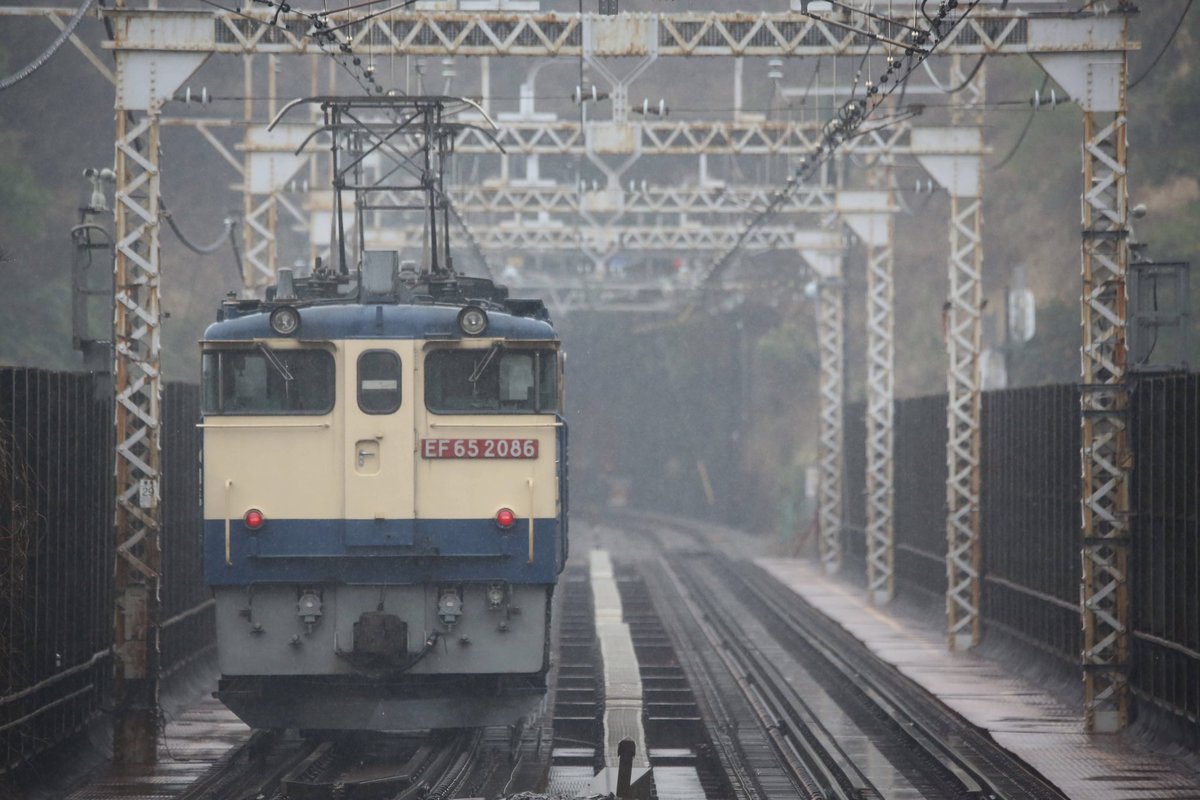EF65 2086 根府川 2026.3.25