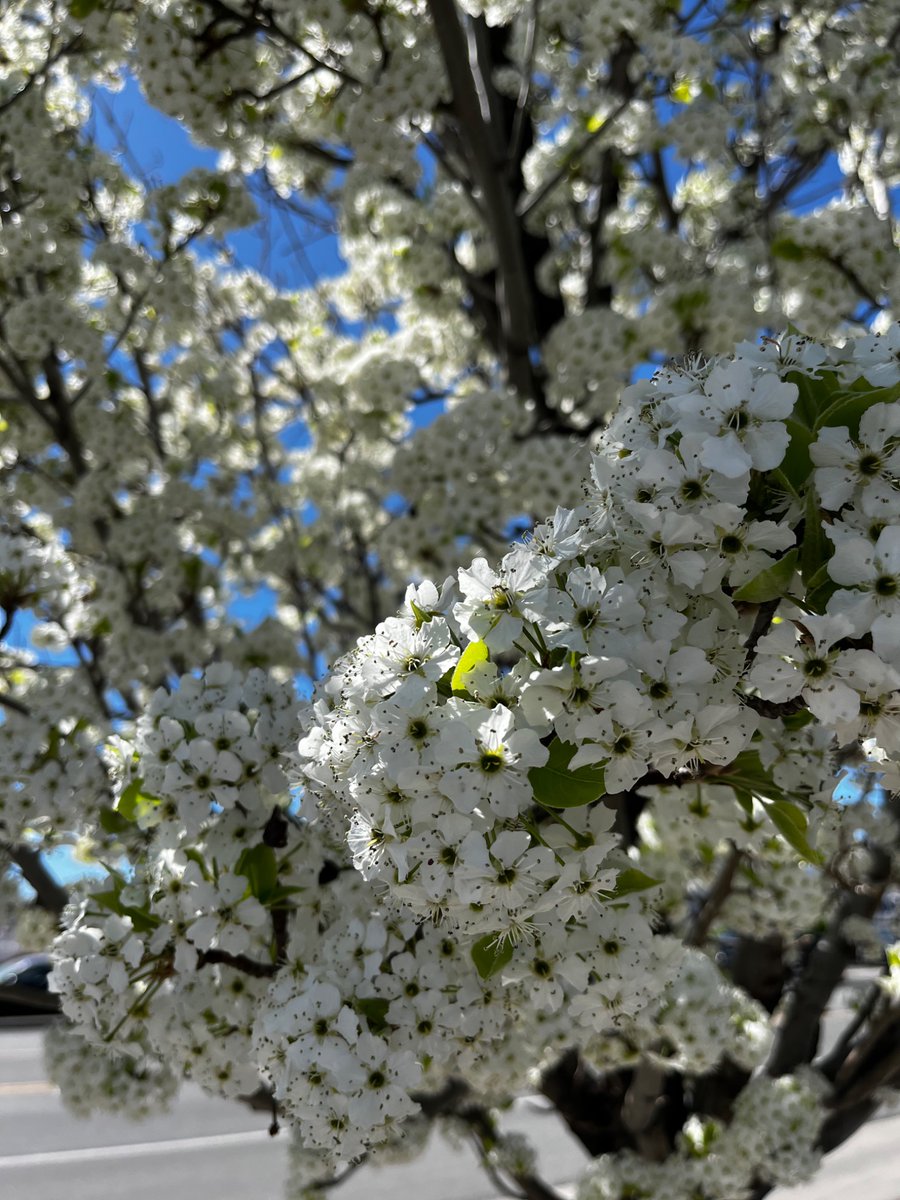 Kellene Stockwell tweet media