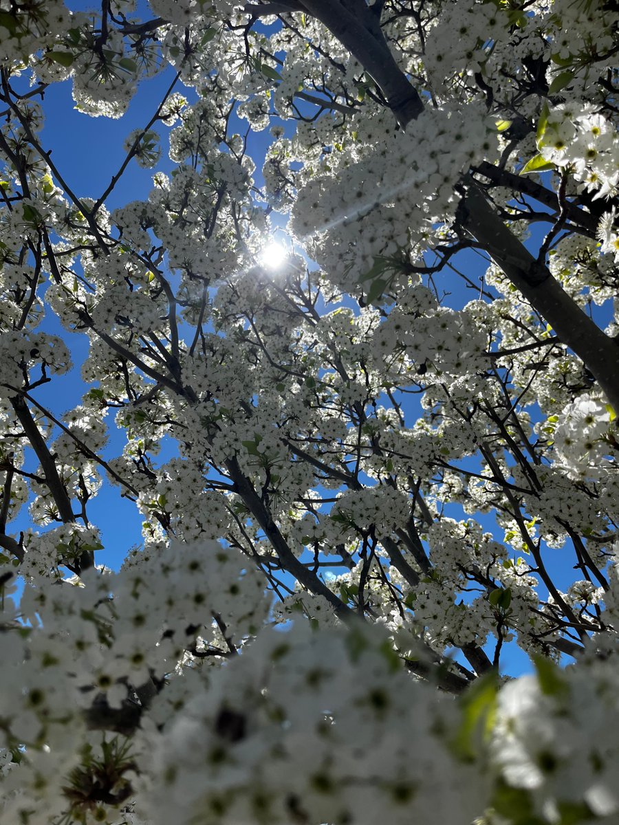 Kellene Stockwell tweet media