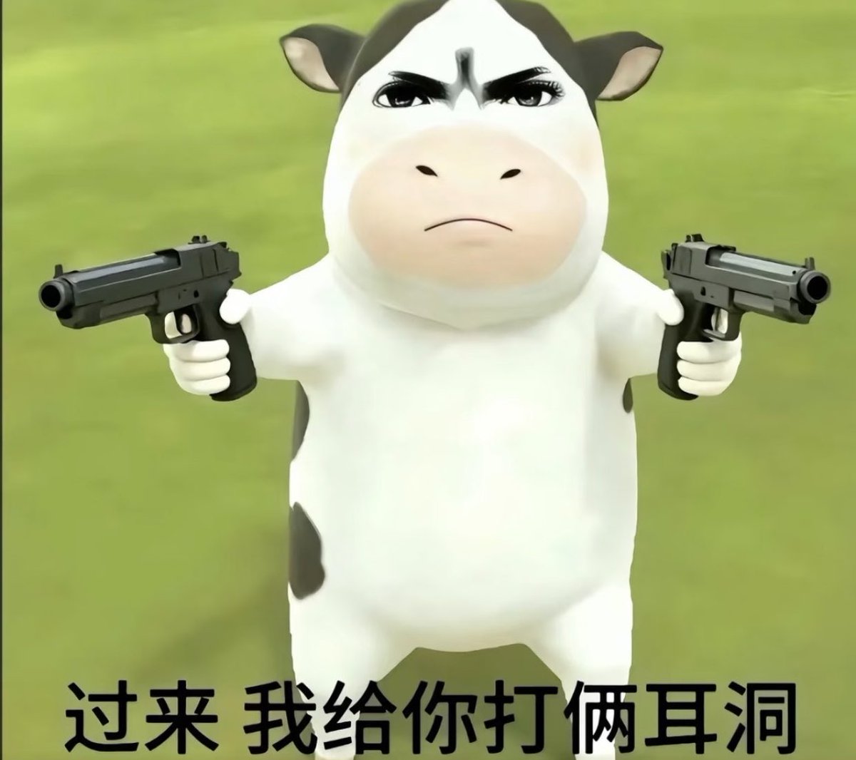 小圆舞ིྀ(京津冀鲁版) tweet media