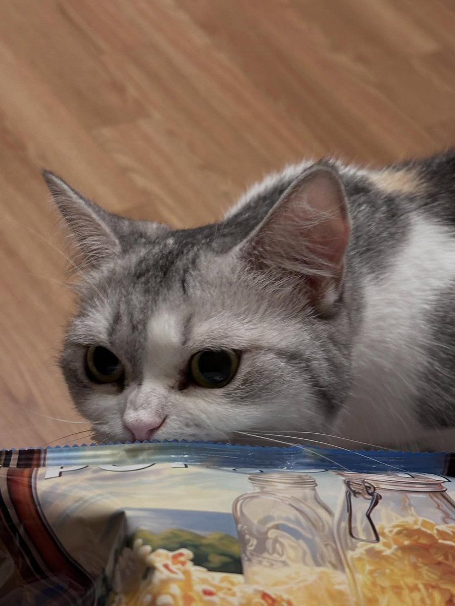 vivi folder tweet media