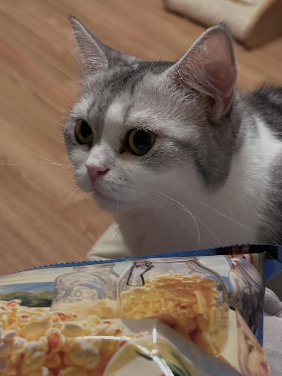 vivi folder tweet media