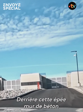 Watt The Duck tweet media